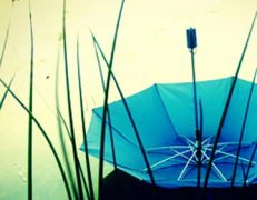 兔太太的蓝雨伞