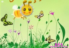 小花、蜜蜂和雨点