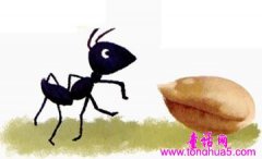 蚂蚁和麦粒