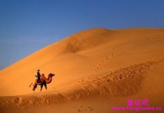 旅行者与骆驼