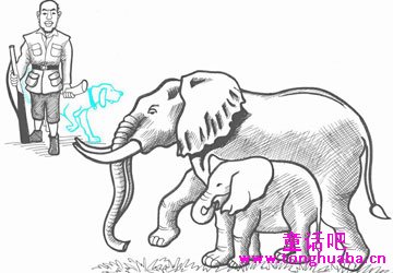 保护大象的方法