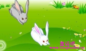 白兔和灰兔