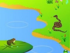青蛙与水蛇
