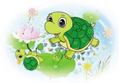 爱花的小乌龟
