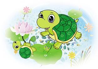 爱花的小乌龟