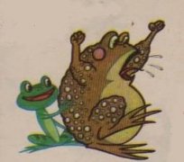 青蛙与蟾蜍