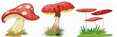 保护小动物们的蘑菇雨伞