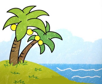 椰子树的爱