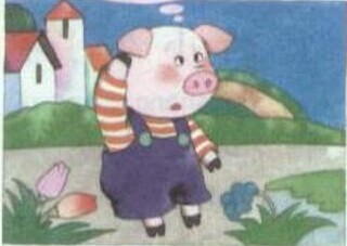 小猪猪迷路了