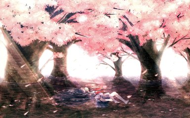 樱花树下的秘密树洞